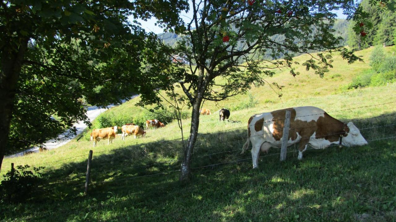 Ferienhaus Englbrecht Krispl Zewnętrze zdjęcie
