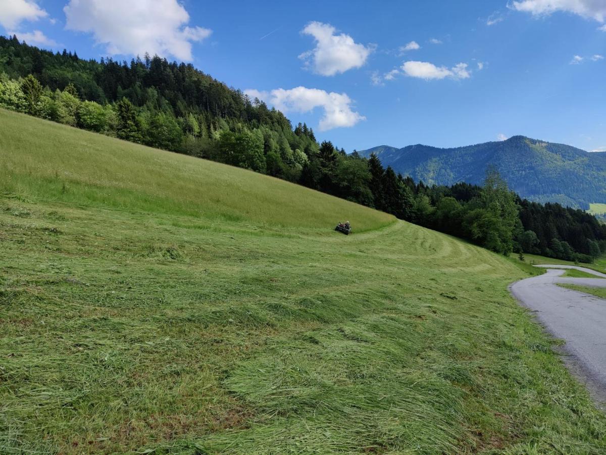 Ferienhaus Englbrecht Krispl Zewnętrze zdjęcie